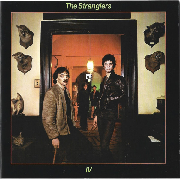 IV Rattus Norvegicus